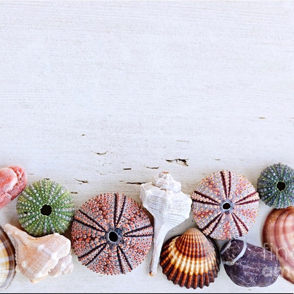 Meet your Posher, Michelle - Picture 1 of 1